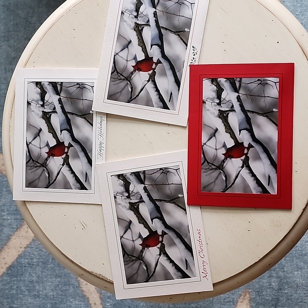 4 Photo cards, blank inside.  Original photography by Gail Donohue